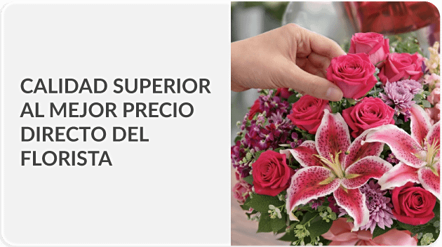 Envía a todo Colombia
